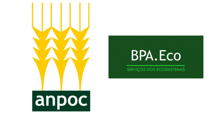 anpoc BPA.Eco