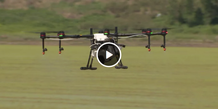 drones agricultura