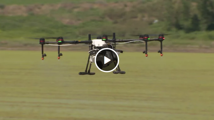 drones agricultura