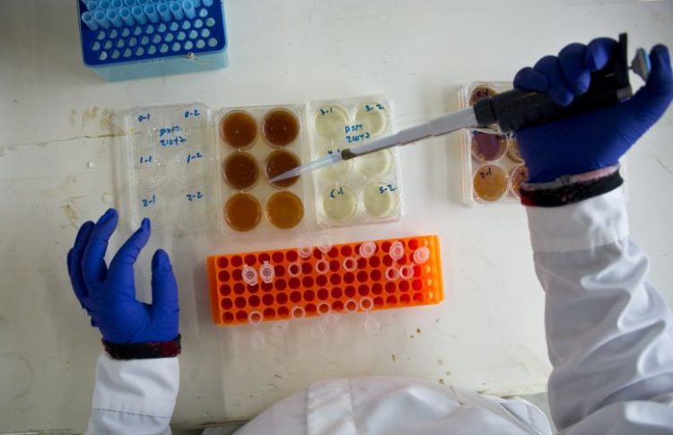 laboratório