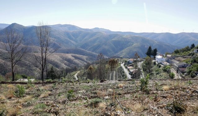 serra do açor