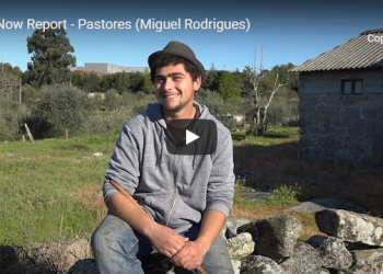 Miguel Rodrigues Pastor