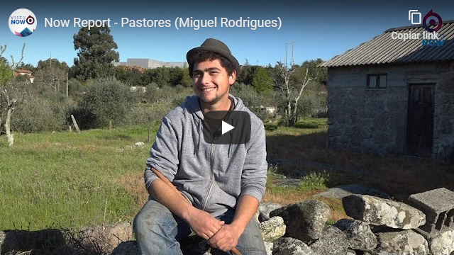 Miguel Rodrigues Pastor
