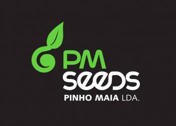 Pinho Maia Lda