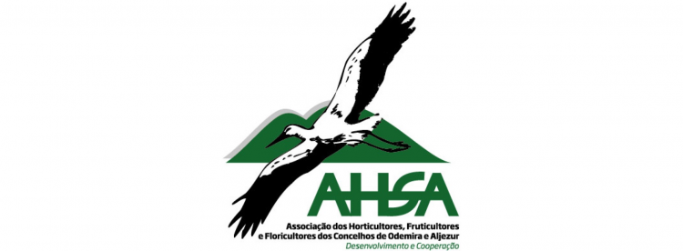ahsa