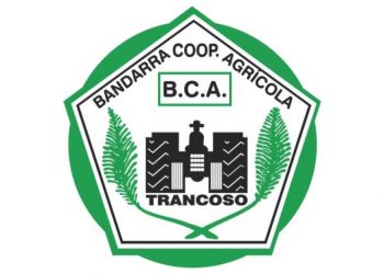 bandarra cooperativa