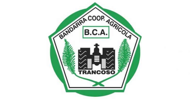 bandarra cooperativa