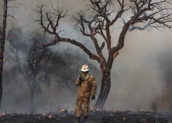 incendios