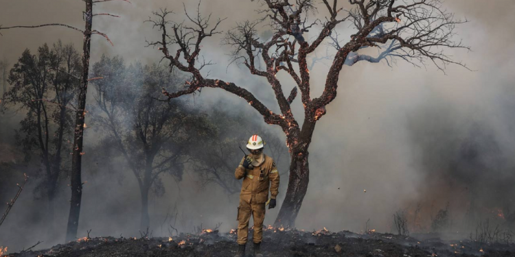 incendios