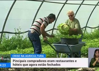 agricultura RTP