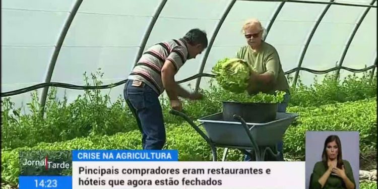 agricultura RTP