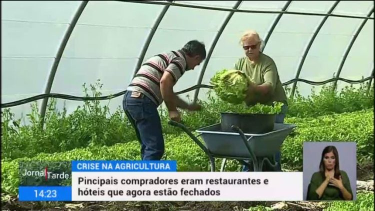 agricultura RTP