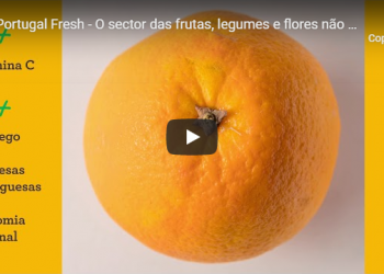 laranja video