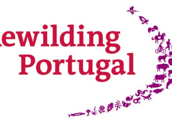 Rewilding Portugal