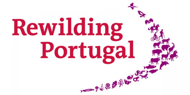 Rewilding Portugal