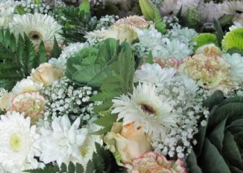 flores