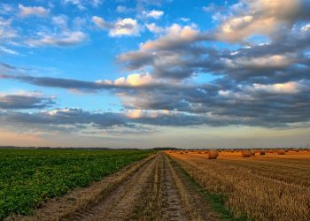 agricultura