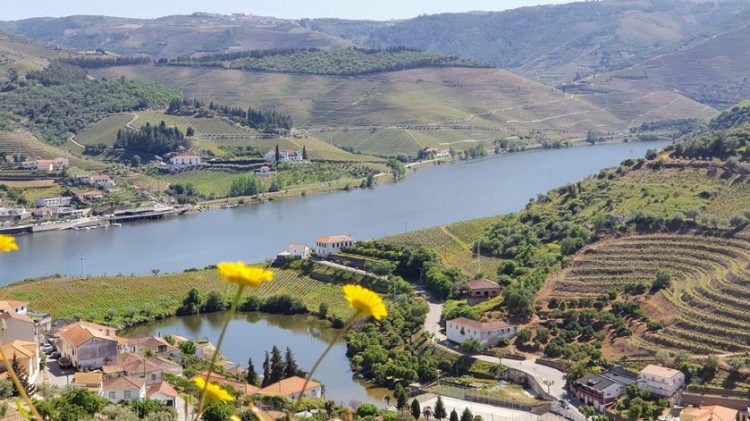 douro