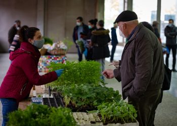 mercado agricola