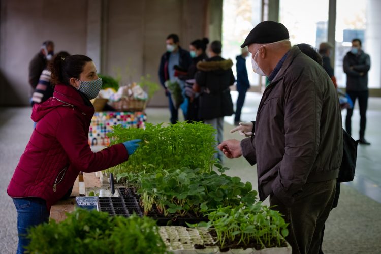 mercado agricola