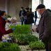 mercado agricola