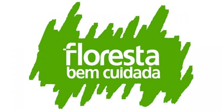 floresta bem cuidada