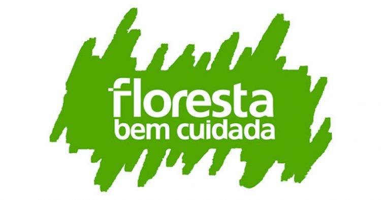 floresta bem cuidada