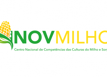 InovMilho