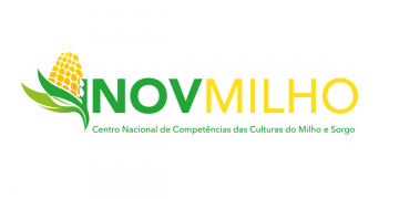 InovMilho