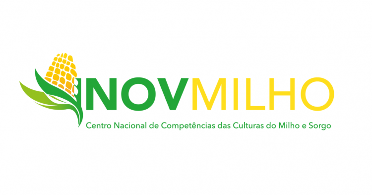 InovMilho