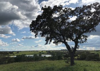 alentejo