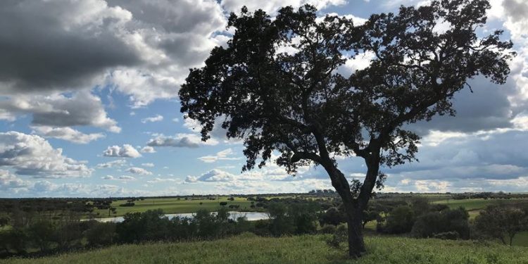 alentejo