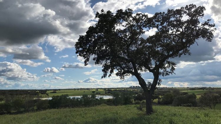 alentejo