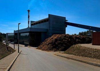 central biomassa