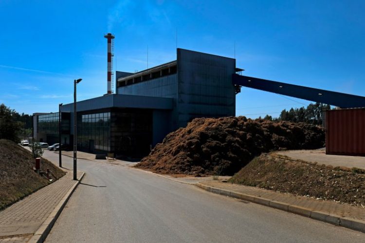 central biomassa