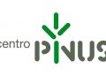 centro pinus