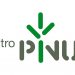 centro pinus