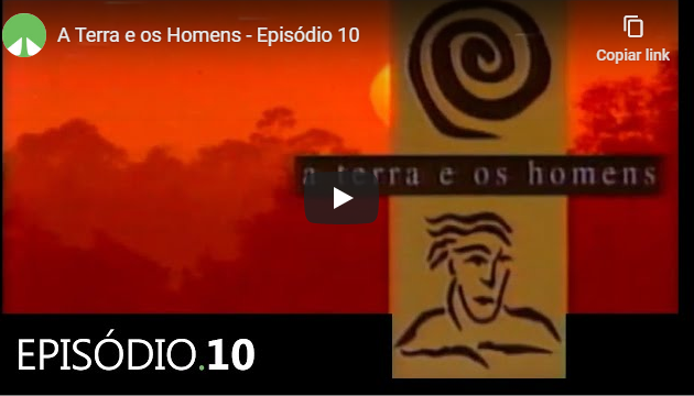 terra e os homens 10