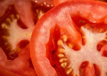 tomate
