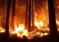 incêndio