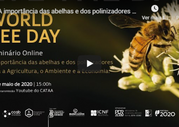 world bee day live