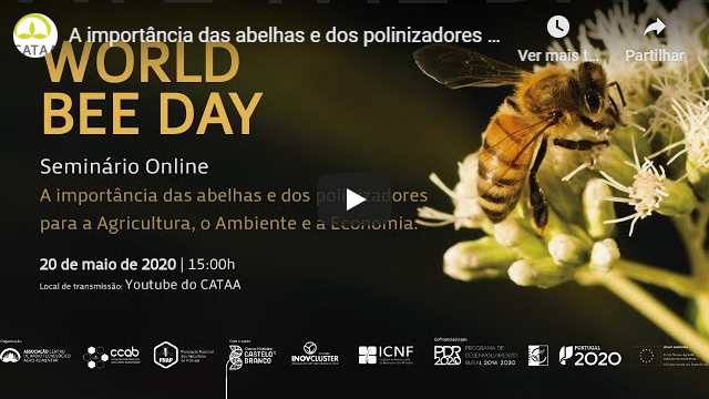 world bee day live