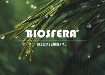 Biosfera