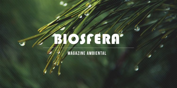 Biosfera