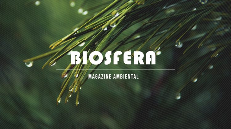 Biosfera