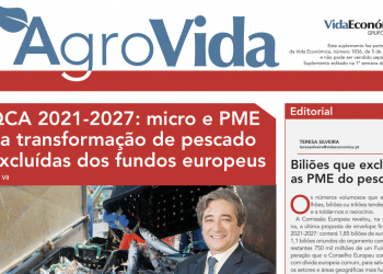 AGROVIDA JUNHO 2020