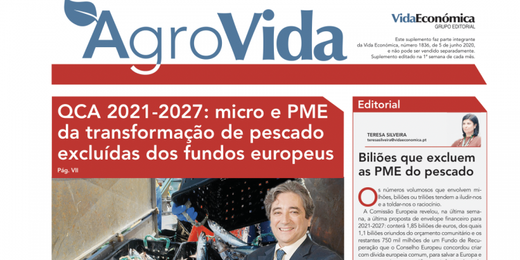 AGROVIDA JUNHO 2020