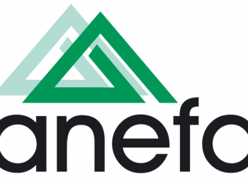 Anefa