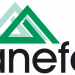 Anefa