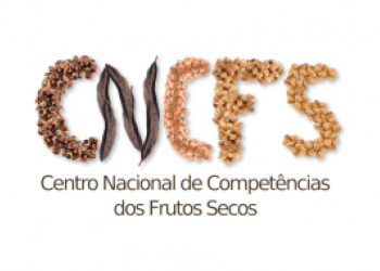 CNCFS
